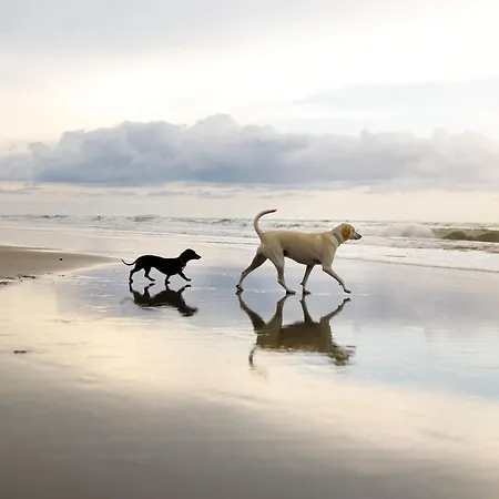 Britannia House Hébergement de vacances Filey